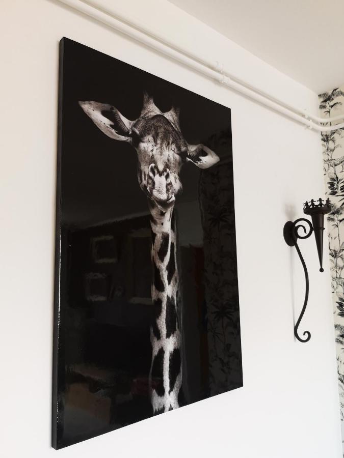F3 Proche Centre-ville - Cote Blatin Apartment